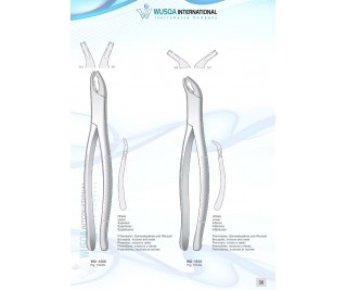 Extracting Forceps